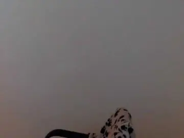 Bongacams Sex Chat of meganmiauu